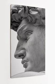 Obraz na płótnie HOMEPRINT, głowa posągu Michała Anioła, Dawida z Florencji, rzeźba 50x100 cm - HOMEPRINT