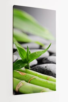 Obraz na płótnie HOMEPRINT, kamienie zen, spokój, relaks, masaż, ogród japoński, bambus 50x100 cm - HOMEPRINT