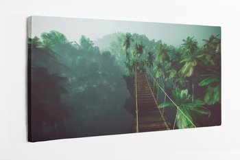Obraz na płótnie HOMEPRINT, most linowy w mglistej dżungli, tropikalne, dzika przygoda 120x50 cm - HOMEPRINT