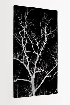 Obraz na płótnie HOMEPRINT, nagie białe drzewo na czarnym tle, zima, nagatyw 60x120 cm - HOMEPRINT