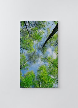 Obraz na płótnie HOMEPRINT, naturalny obraz wierzchołków drzew z błękitnym niebem 50x100 cm - HOMEPRINT