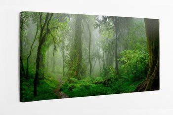 Obraz na płótnie HOMEPRINT, piękny zielony las tropikalny w dżungli 120x50 cm - HOMEPRINT