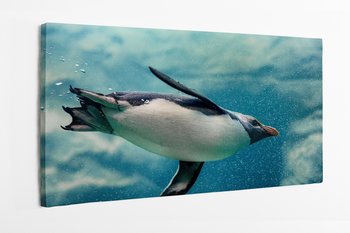 Obraz na płótnie HOMEPRINT, pingwin, pod wodą, pływający, Pingwin skalny 120x60 cm - HOMEPRINT