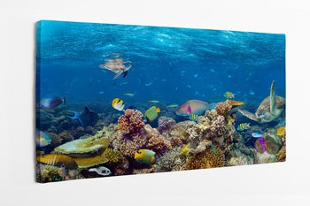 Obraz na płótnie HOMEPRINT, rafa koralowa, podwodna panorama, życie pod wodą, morze, ocean 100x50 cm - HOMEPRINT