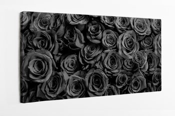 Obraz na płótnie HOMEPRINT, widok z góry, czarne róże 120x50 cm - HOMEPRINT