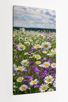 Obraz na płótnie HOMEPRINT, wiosenny krajobraz, panorama z kwitnącymi kwiatami na łące 50x100 cm - HOMEPRINT