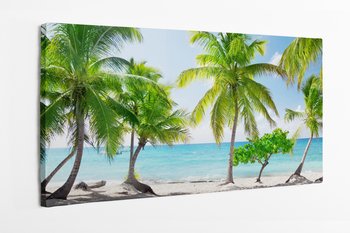 Obraz na płótnie HOMEPRINT, wyspa Catalina, Dominikana, tropiki, wakacje, plaża, palmy, morze, lato, relaks 140x70 cm - HOMEPRINT