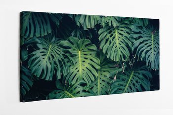 Obraz na płótnie HOMEPRINT, zielone liście monstera 120x60 cm - HOMEPRINT