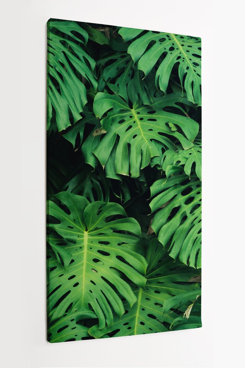 Obraz Na P Tnie Homeprint Zielone Li Cie Monstera X Cm