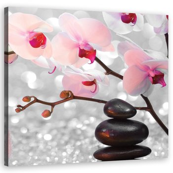 Obraz na płótnie, Kamienie zen i gałązka storczyka - 50x50 - Inny producent