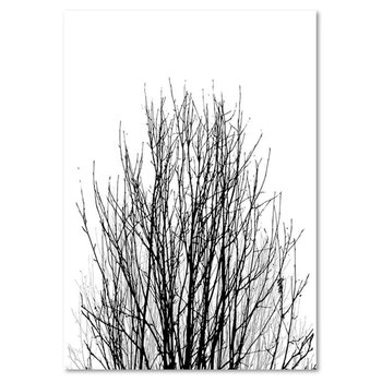 Obraz na płótnie, Korona drzewa, 40x50 cm - Caro