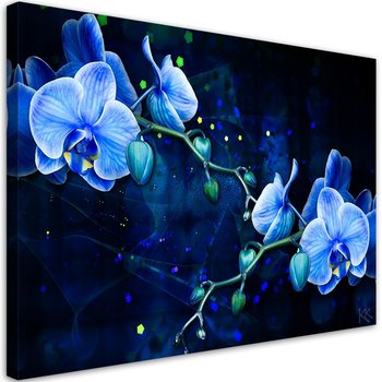 Obraz na płótnie, Niebieski kwiat orchidei - 90x60 - Inny producent