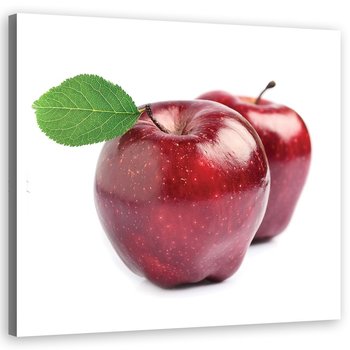 Obraz na płótnie, Owoce jabłka - 50x50 - Inny producent