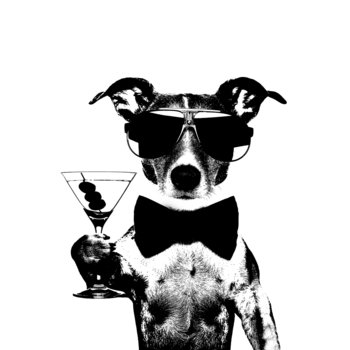 Obraz na płótnie: Pies z drinkiem, 50x70 cm - Art-Canvas