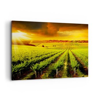 Obraz na płótnie - Pod australijskim słońcem - 100x70cm - Krajobraz Winnica Australia - Nowoczesny foto obraz w ramie do salonu do sypialni ARTTOR - ARTTOR