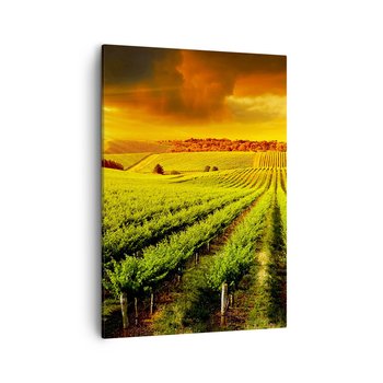 Obraz na płótnie - Pod australijskim słońcem - 50x70cm - Krajobraz Winnica Australia - Nowoczesny Canvas obraz do salonu do sypialni ARTTOR - ARTTOR