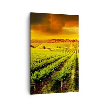 Obraz na płótnie - Pod australijskim słońcem - 80x120cm - Krajobraz Winnica Australia - Nowoczesny obraz na ścianę do salonu do sypialni ARTTOR - ARTTOR