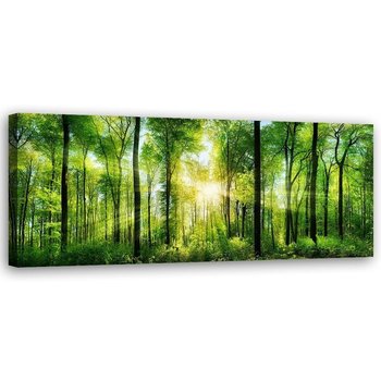 Obraz na płótnie, Promienie słońca w lesie - 120x40 - Inny producent