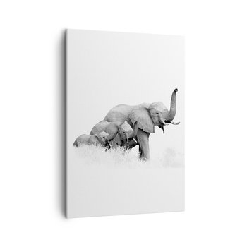 Obraz na płótnie - Raz, dwa, trzy - 50x70cm - Zwierzęta Słoń Czarno-Biały - Nowoczesny Canvas obraz do salonu do sypialni ARTTOR - ARTTOR