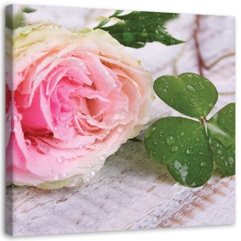 Obraz na płótnie, Róża kwiaty natura - 60x60 - Inny producent