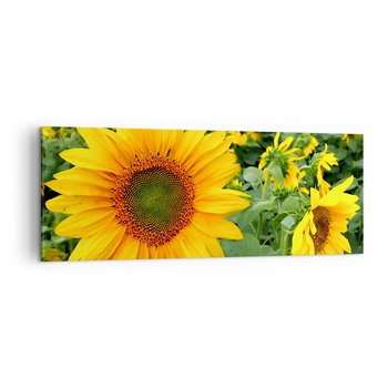 Obraz na płótnie - Rozgorzały setki słońc - 140x50cm - Kwiaty Słoneczniki Natura - Nowoczesny Canvas obraz do salonu do sypialni ARTTOR - ARTTOR