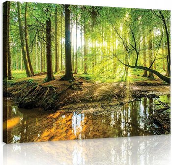Obraz Na Płótnie Ścianę Do Salonu Sypialni LAS drzewa krajobraz do salonu 3D 100x70 - Consalnet