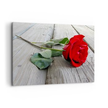 Obraz na płótnie - Studium w szkarłacie - 100x70cm - Róża Miłość Kwiat - Nowoczesny foto obraz w ramie do salonu do sypialni ARTTOR - ARTTOR