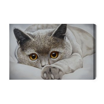Obraz Na Płótnie Szary Kot Jak Malowany 30x20 - Inny producent
