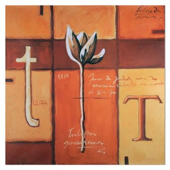 Obraz na płótnie, T jak tulipan, 50x50 cm - Caro