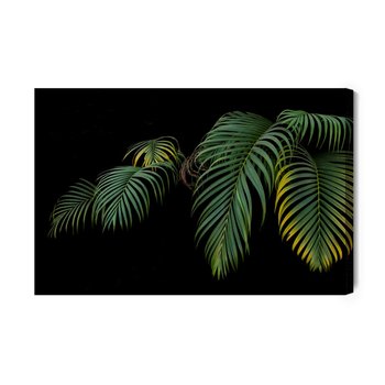 Obraz Na Płótnie Tropikalne Liście Palmowe 30x20 NC - Inny producent