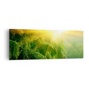 Obraz na płótnie - Utonąć w słońcu i w cieniu - 140x50cm - Tropiki Krajobraz Słońce - Nowoczesny Canvas obraz do salonu do sypialni ARTTOR - ARTTOR