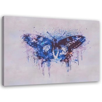 Obraz na płótnie: Wielobarwny motyl, 70x100 cm - Feeby