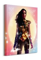 Obraz na płótnie Wonder Woman 1984 Tranquil Contemplation na ścianę do salonu 40x50 cm