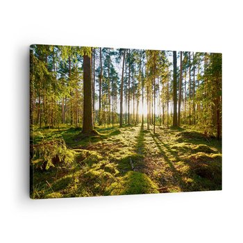 Obraz na płótnie - …Za siedmioma lasami - 70x50cm - Krajobraz Las Natura - Nowoczesny Canvas obraz do salonu do sypialni ARTTOR - ARTTOR