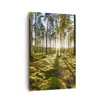Obraz na płótnie - …Za siedmioma lasami - 80x120cm - Krajobraz Las Natura - Nowoczesny obraz na ścianę do salonu do sypialni ARTTOR - ARTTOR