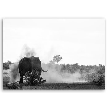 Obraz na płótnie Zebra And Elephant 60x90 - Legendarte