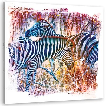Obraz na płótnie: Zebry na kolorowym tle, 60x60 cm - Feeby