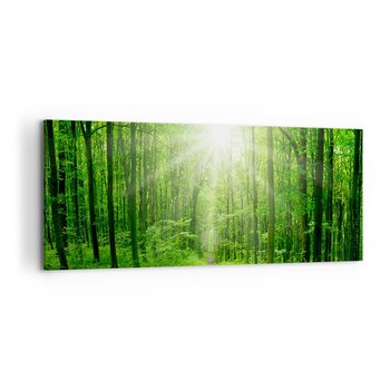 Obraz na płótnie - Zielona katedra - 120x50cm - Krajobraz Las Promienie Słońca - Nowoczesny obraz na ścianę do salonu do sypialni ARTTOR - ARTTOR
