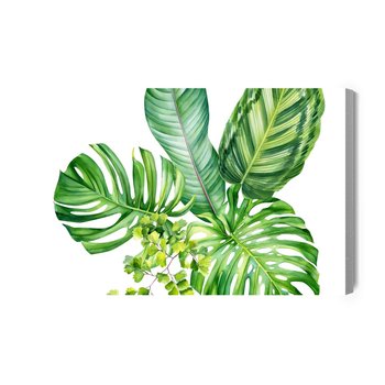 Obraz Na Płótnie Zielone Egzotyczne Liście Malowane Akwarelą 40x30 - Inny producent