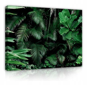 Obraz Na Płótnie ZIELONE LIŚCIE Dżungla 60x40 - Consalnet