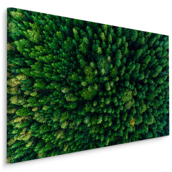 Obraz Na Płótnie Zielony LAS Drzewa Widok Z Lotu Ptaka Rośliny 100cm x 70cm - Muralo