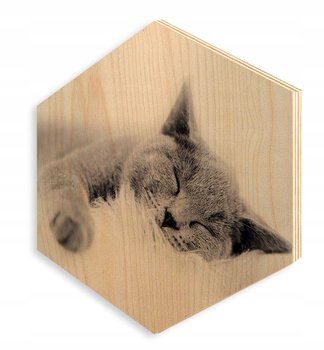 Obraz na sklejce drewno HEKSAGON 30x35cm SP502 - e-druk