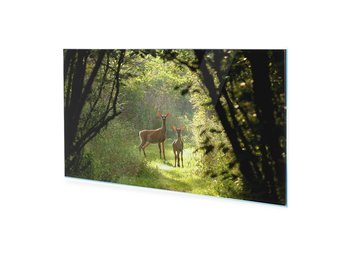 Obraz na szkle akrylowym HOMEPRINT Sarny na naturalnym szlaku 125x50 cm - HOMEPRINT