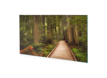 Obraz na szkle akrylowym HOMEPRINT Szlak w Parku Narodowym, USA 100x50 cm - HOMEPRINT