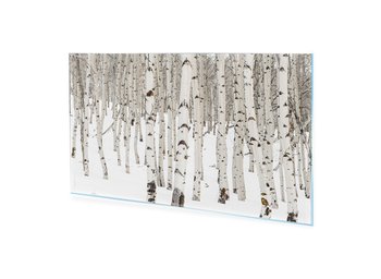 Obraz na szkle akrylowym HOMEPRINT Zimowy las brzozowy 125x50 cm - HOMEPRINT