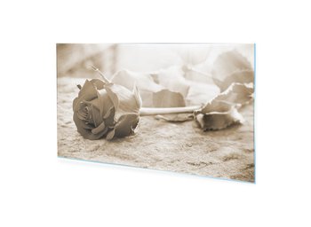 Obraz na szkle HOMEPRINT Róża w świetle 125x50 cm - HOMEPRINT