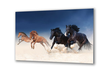 Obraz na szkle konie w galopie biegu czarne d 90x60 cm - Inny producent