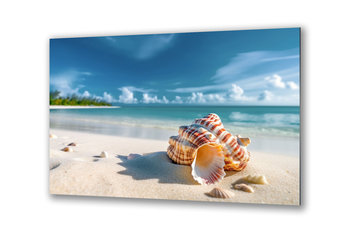 Obraz na szkle natura morze muszle na plaży e 90x60 cm - Inny producent