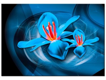 Obraz Niebieskie kosmiczne kwiaty - Jakub Banaś, 100x70 cm - Oobrazy