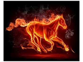 Obraz Ognisty koń, 50x40 cm - Oobrazy
